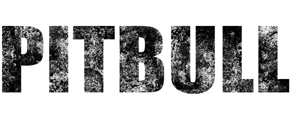 pitbull.png